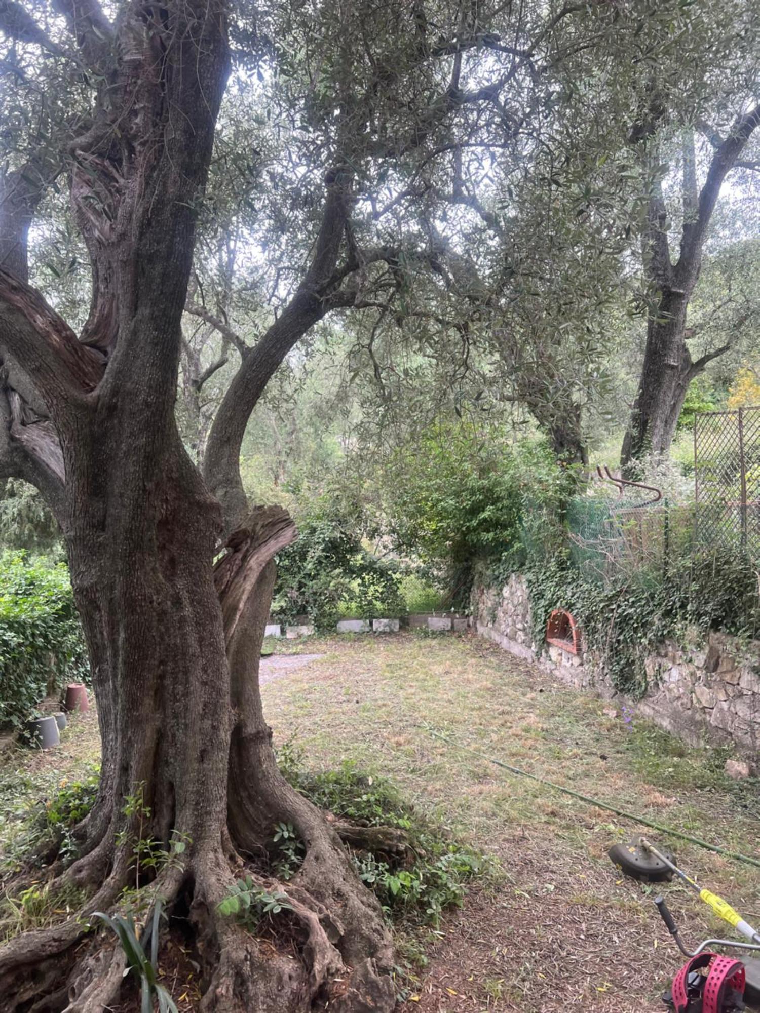 Bas De Villa Vue Mer Eze Village 外观 照片