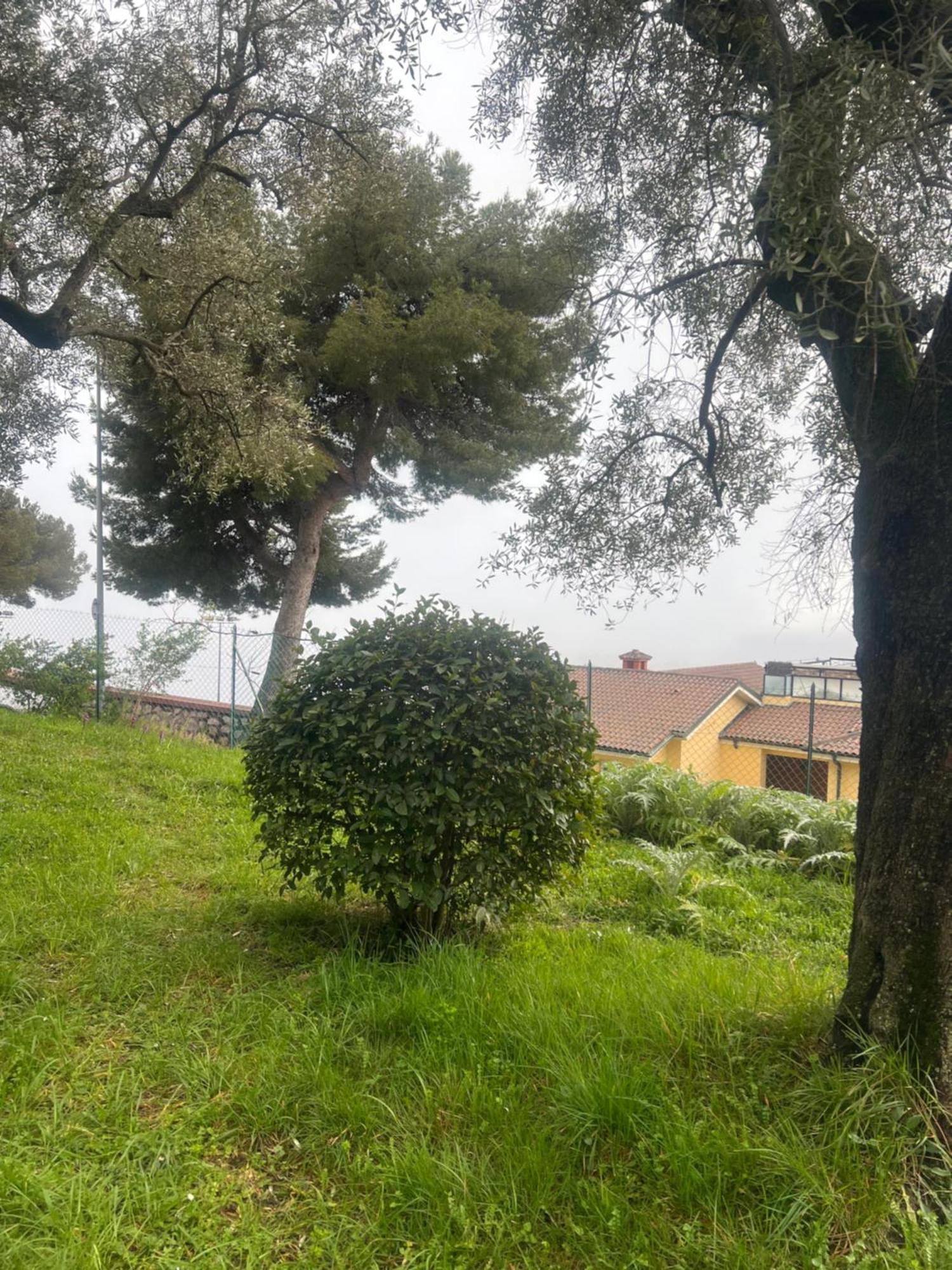 Bas De Villa Vue Mer Eze Village 外观 照片