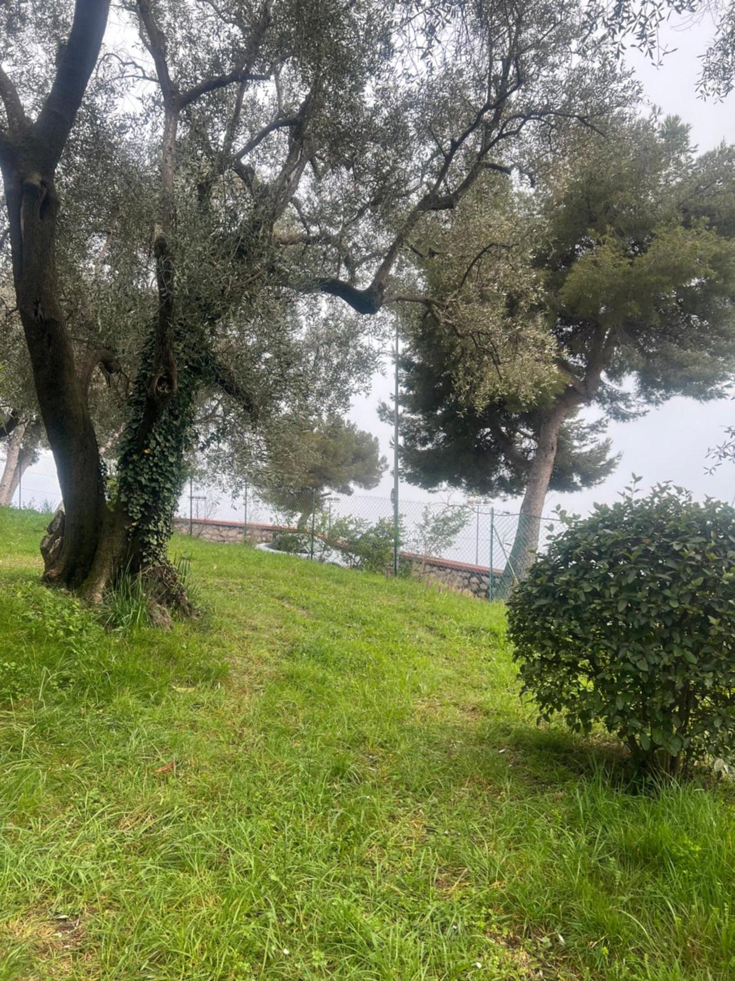 Bas De Villa Vue Mer Eze Village 外观 照片