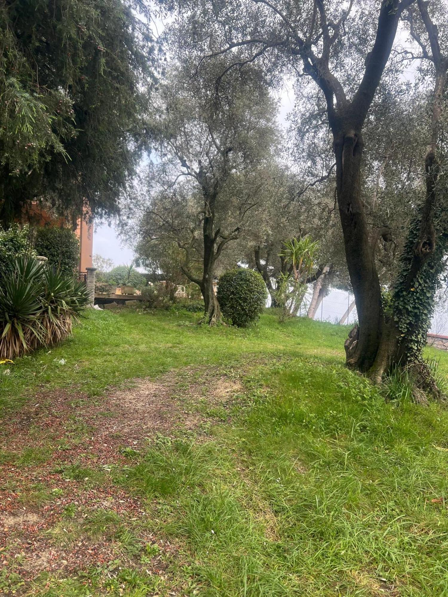 Bas De Villa Vue Mer Eze Village 外观 照片